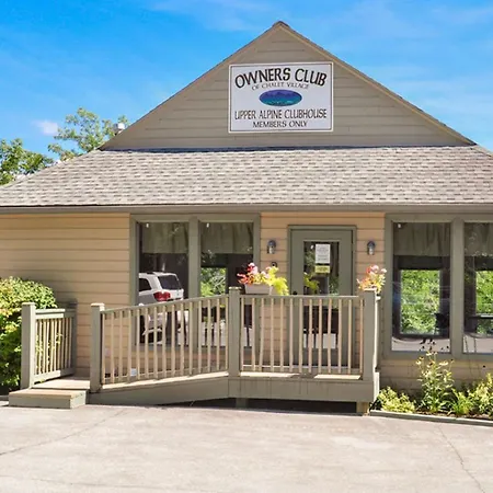 Cozy Bear 856-3